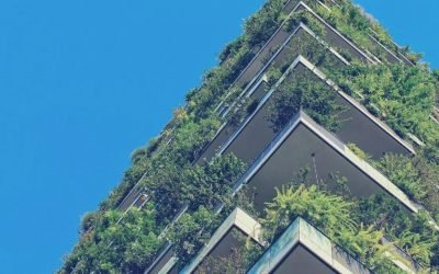 Vers une nouvelle ère écologique : Les bâtiments à énergie positive redéfinissent l’architecture moderne