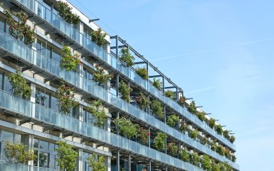 Paris sous 40°C :  La fraîcheur devient le nouveau critère d&rsquo;or de l&rsquo;immobilier